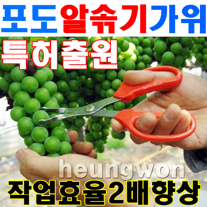- 2012년 신제품 - 화신 포도 알솎기가위 P-370 적심겸용/원예가위/가위/포도가위/ : 계양전동공구