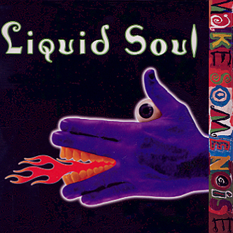 (수입) Liquid Soul - Make Some Noise / 리퀴드 소울 - 메이크 썸 노이즈 : SORI