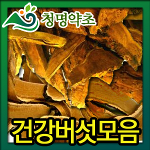 [청명약초]영지버섯/상황버섯/ 건강버섯모음 최저가 판매 : 청명약초