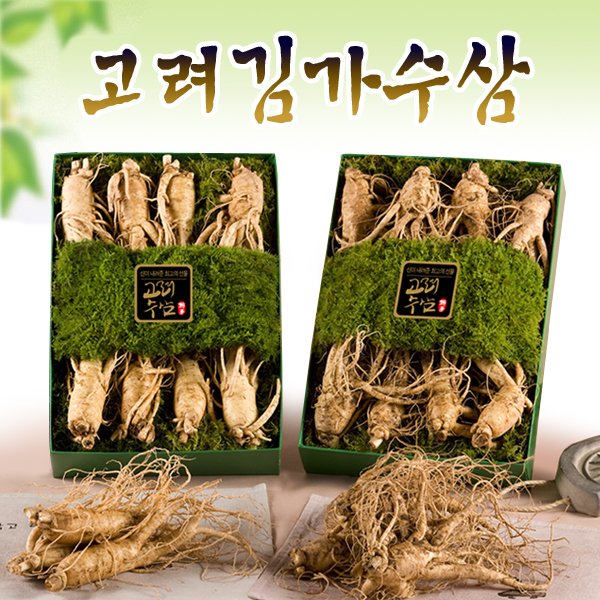 금산인삼 / 고려인삼 / 수삼선물세트 / 홍삼 / 인삼 / 고려김가수삼 / 빠른배송 : 금산인삼몰