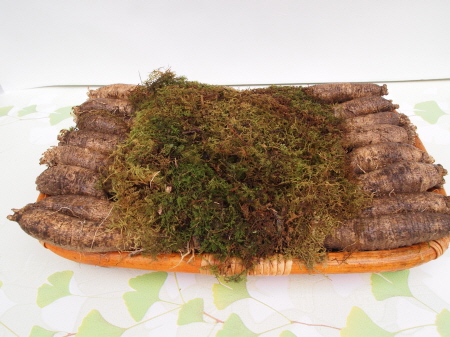 횡성더덕/선물용 등채반 1kg, 내외 강원도 횡성더덕, 더덕선물세트, 농장직영판매, 청정지역에서 정성들여 직접 재배한 산더덕... 