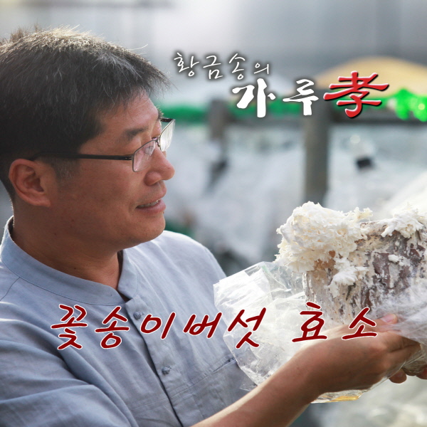 경신바이오 꽃송이버섯 효소 고급 건강식품 영양제 분말 특 90포 : 민준파파의 건강주방