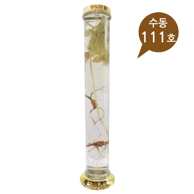 용천자연유리 수동 111호-1박스(12개) 담금주병 인삼주 술병 과일주병 매실주 담금주 : 홈이오스 homeos