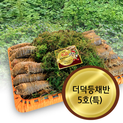 더덕등채반5호(2.3~2.8kg) : 어사매횡성영농조합법인