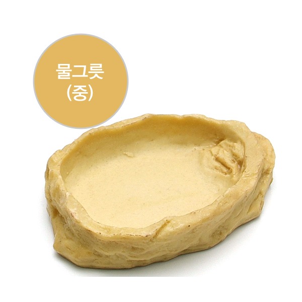 파충류용품