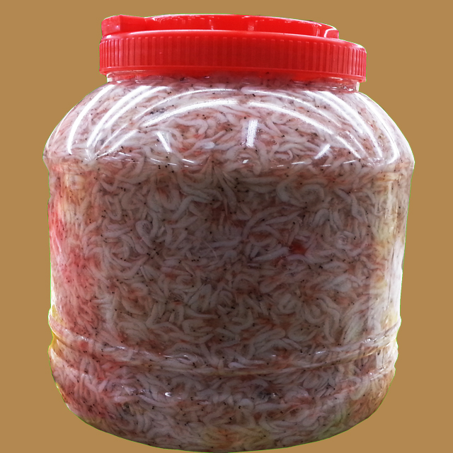광천토굴새우젓5kg : 햇살마을푸드