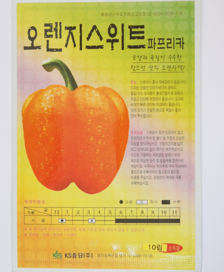 오렌지 스위트 파프리카  10립 /봄 파종/파종시기별/채소씨앗 : 사이버가든