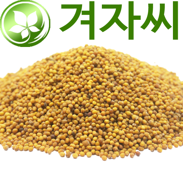 겨자씨 1kg/ 겨자씨앗 : 천지가약초