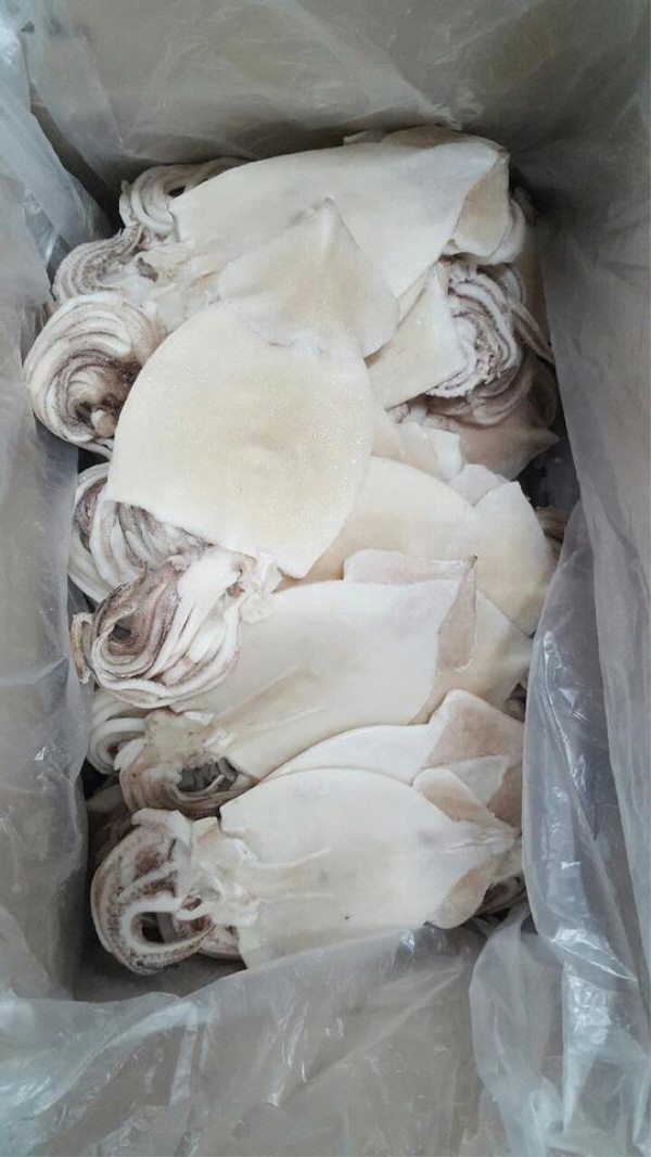 국산 손질오징어(80마리-11kg)(노량진수산시장)/특급배송(오징어/냉동오징어/생물오징어) : 삼성수산