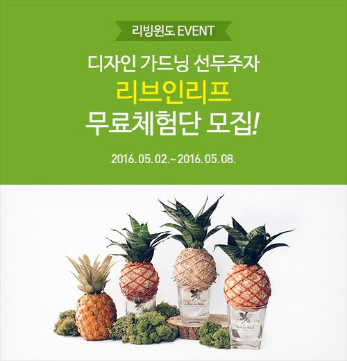 리프디자인 이미지