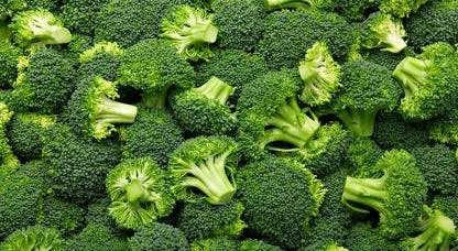 New EX-C Regeneration Cream Vitamin U Sensitive Re