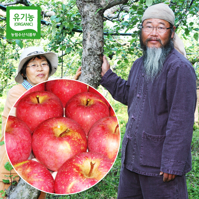 [한빛농장] 유기농사과 4.5kg 껍질째먹는 친환경사과 : 유기농사과한빛농장