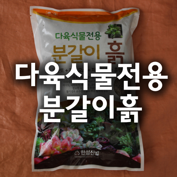 분갈이흙 다육전용분갈이 흙 용토 일산화분 가든파릇 : 가든파릇