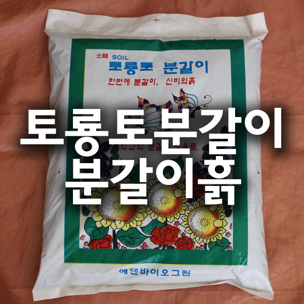 분갈이용토 분갈이전용 흙 토룡토 일산화분 가든파릇 ,가든파릇 : 가든파릇