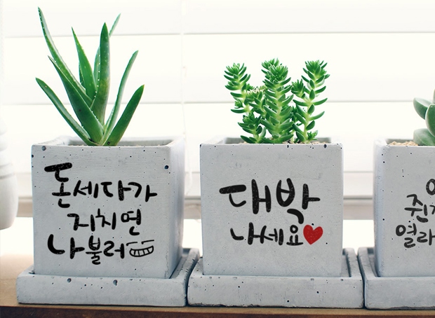 개업식선물 사무실 식당 가게 오픈축하 미니화분 캘리그라피메세지 : 커플앤감사선물