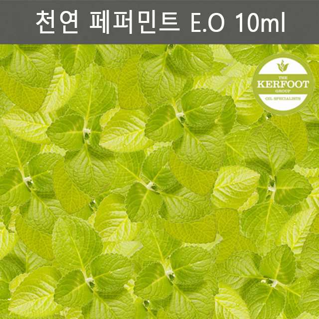 천연 페퍼민트 에센셜오일 10ml : 에코비안코