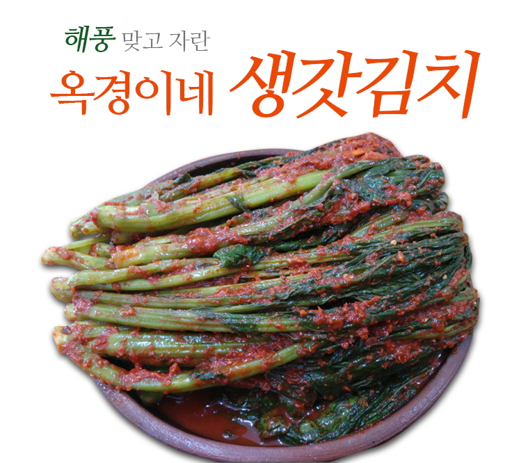 옥경이네여수돌산갓김치5k,알싸한갓김치,밥도둑인 여수돌산갓김치 : 여수옥경이네갓김치
