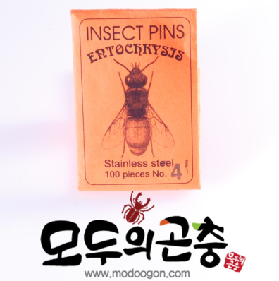 곤충표본핀,곤충핀,유두핀,표본핀,100본입 : 코스모스마켓