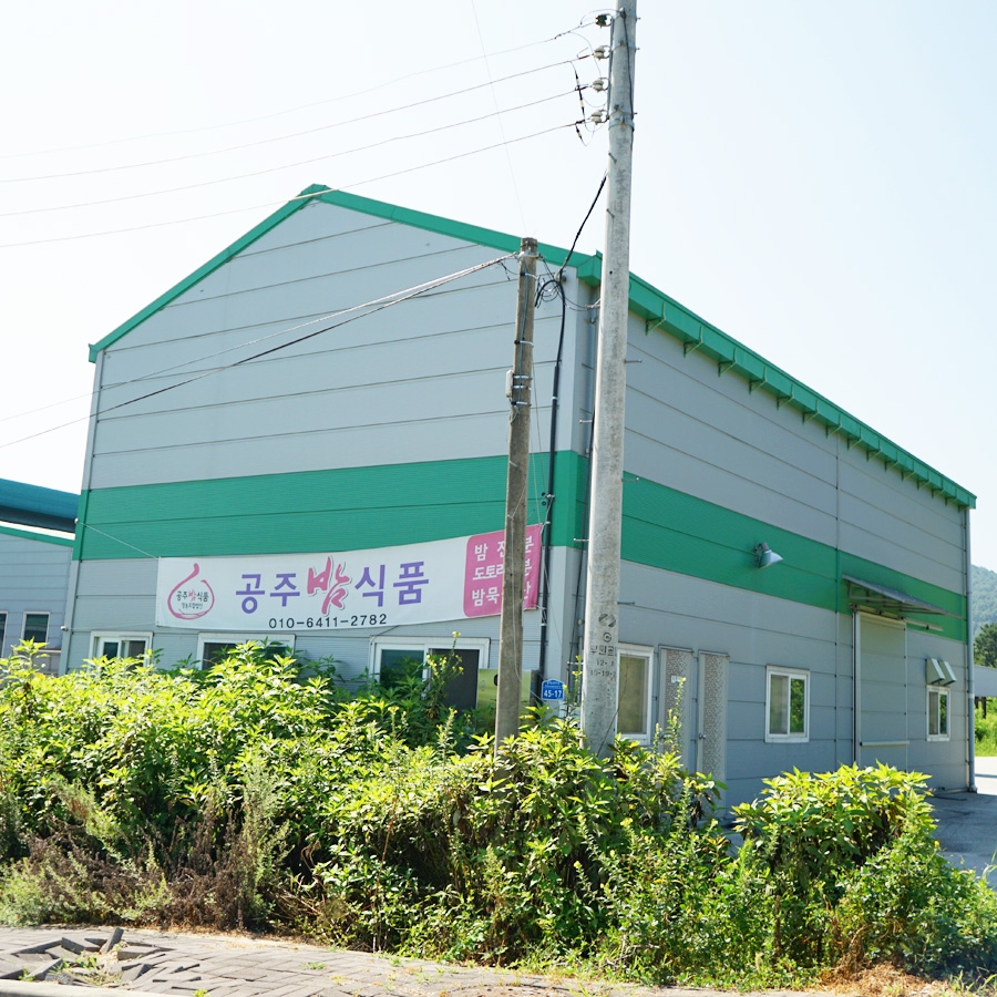 2023년 만든 100% 국산 도토리묵가루 500g 도토리전분 도토리 자연산 : 공주밤식품