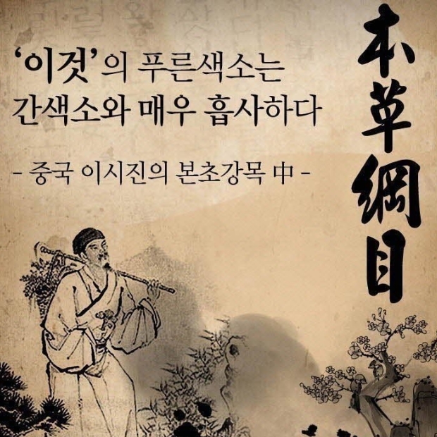 다슬기기름 동강 참다슬기 - 500mlx2병 : 오픈쇼핑닷컴
