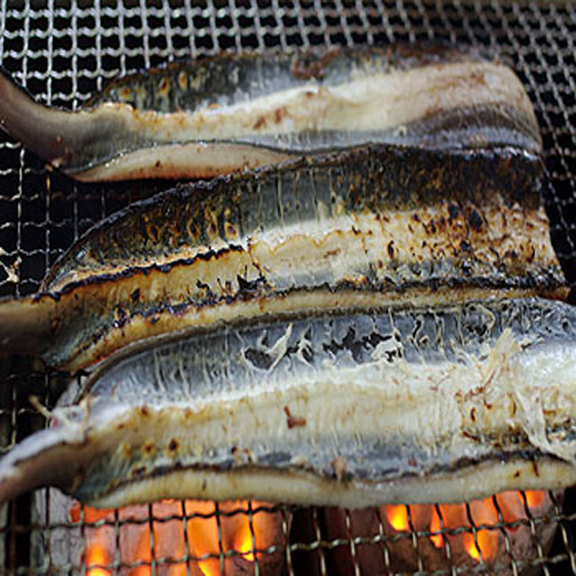 최상급 통영 자연산 바다장어 1kg : 한창수산