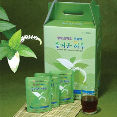 즐거운하루 : 인천황토삼백초
