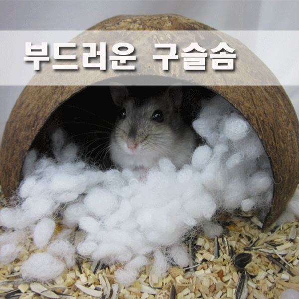 이불솜/속