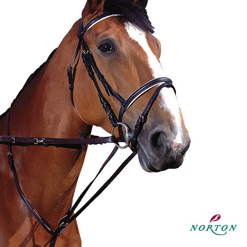 [위드홀스] 승마용품 Norton 노튼 마팅게일고삐세트(저먼마팅게일) : 위드홀스