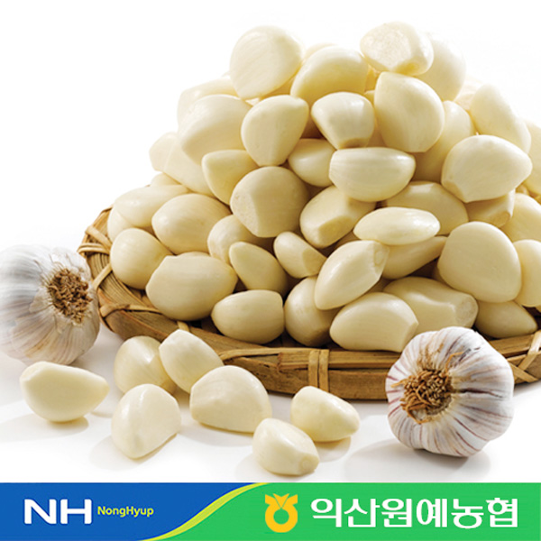 마늘