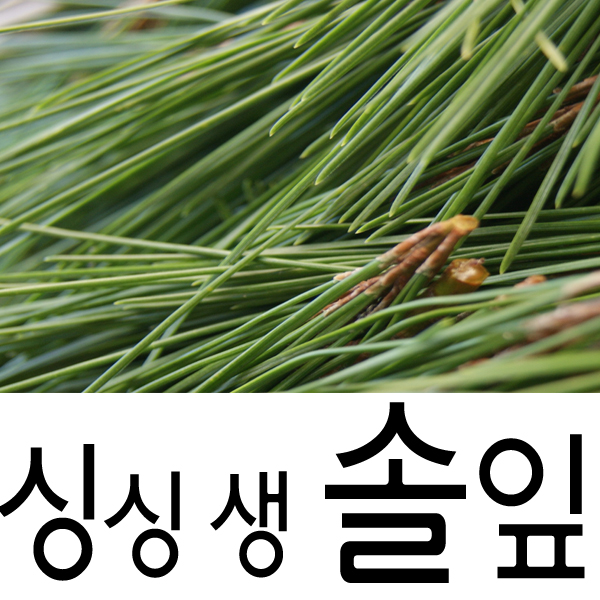송편솔잎, 금연솔잎 1개월분/ 100g 싱싱 무방제 산속 생솔잎- 싱싱하지 않으면 환불 : 솔잎골