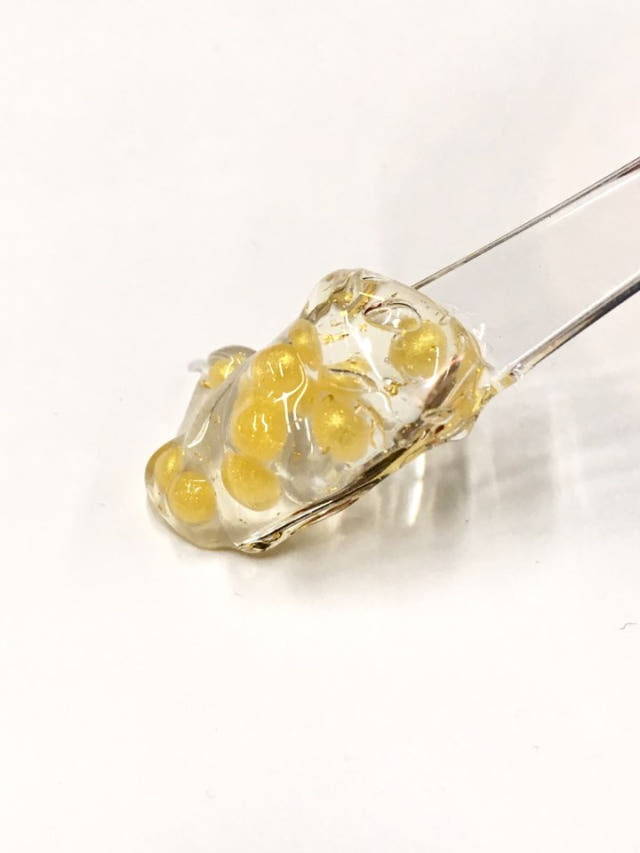 New Peslo Bear Cream 55ml GOM CREAM Genuine Orient