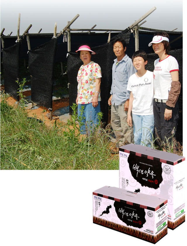 Korea Ginseng Ginseng Red Ginseng Extract Concentr