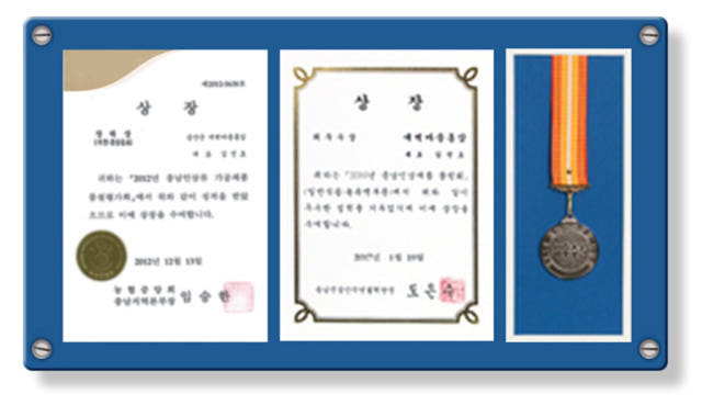 Korea Ginseng Ginseng Red Ginseng Extract Concentr