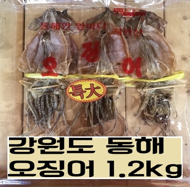 (순창상회) 강원도 동해 오징어 1.2kg  / 마른오징어 : 순창상회