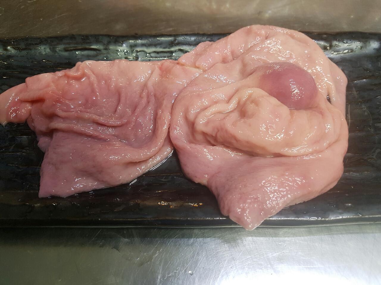 한우 생막창 300g 이상 : 한우본가
