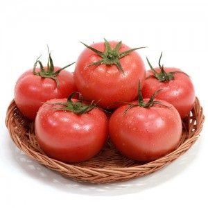 산지직송 완숙 무농약토마토 2.5KG (봄춘농장) : 봄춘토마토