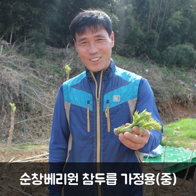 순창 참두릅 가정용(중) : 설산소리