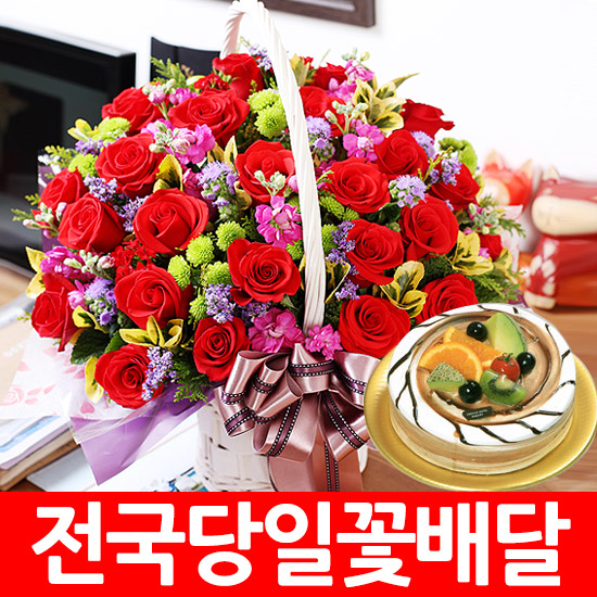 전국당일꽃배달 꽃바구니 군산 익산 김제 정읍 남원 제천 속초 동해... 구미 안동 경주 포항 영천 김천 여수 목포 나주 순천 광양 꽃배달 : 앤드플라워