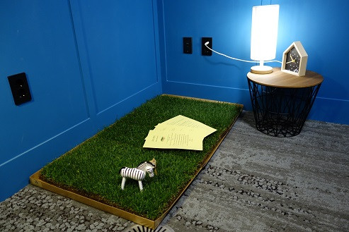 Eco-friendly natural grass puppy toilet bowl Green
