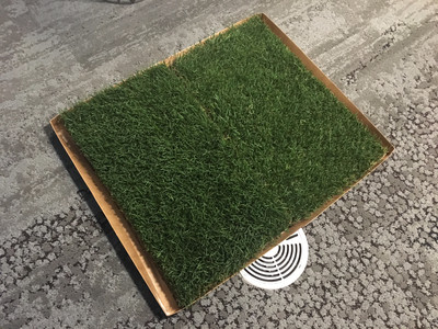 Eco-friendly natural grass puppy toilet bowl Green