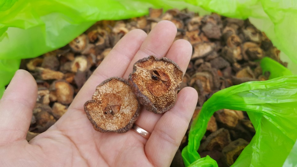 지리산 자연산 산돌배 야생돌배  250g : 범왕골상회