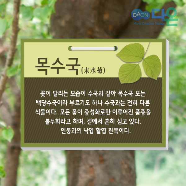 [다양한 디자인의 다온]수목 표찰/포맥스/타공형/사각형/160x120/제작... 나무이름표/팻말 제작/화단 표찰/수목명패/수목안내판/나무표찰 : 다온1