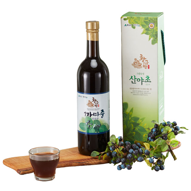 까마중 효소 발효액 750ml (5년 숙성) : 해남비땅산야초