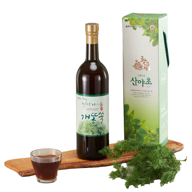 개똥쑥 효소 발효액 750ml (5년 숙성 엑기스) : 해남비땅산야초