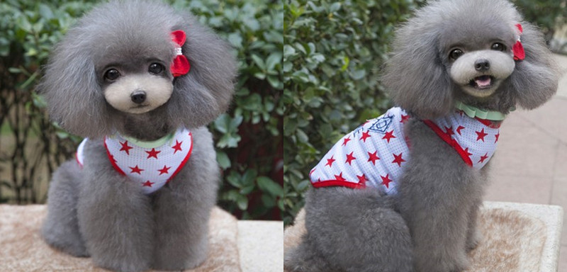 NEW DOG FASHION More than 10 types of sleeveless m
