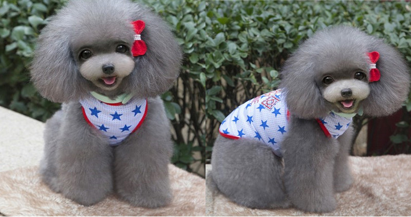 NEW DOG FASHION More than 10 types of sleeveless m