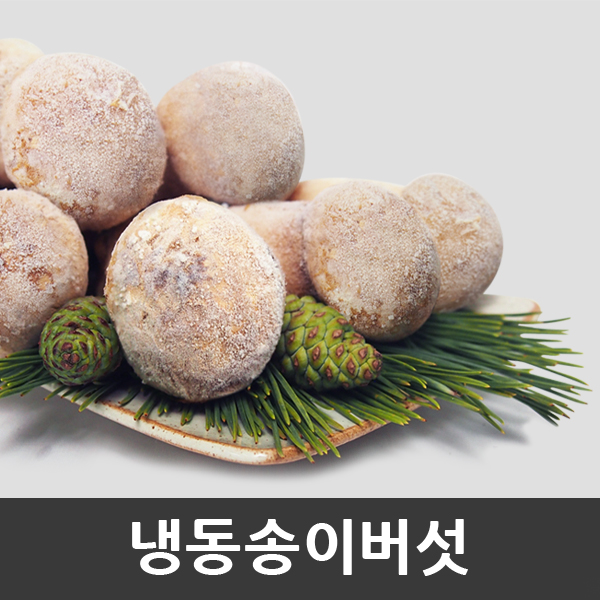 자연산 송이버섯 냉동 1kg [금강송이무역] : 금강송이무역
