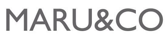 Denim Skirt Big Size H Line Chin 26,28,30,32,34,36