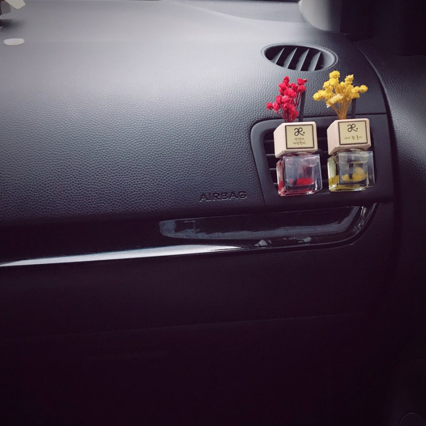 Car Air Freshener Flower Diffuser for your story