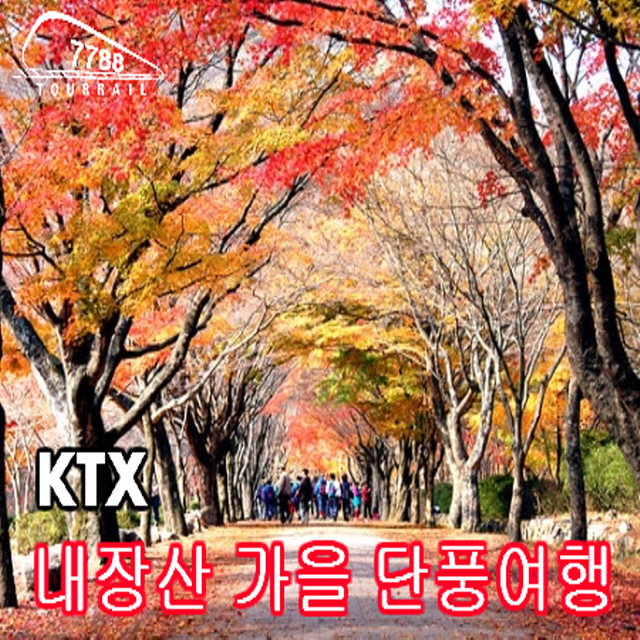[코레일 기차] 내장산 KTX 단풍열차(가을 단풍-정읍역) 국내 당일치기여행/투어레일 : 코레일 기차여행